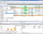 Portable project management software
